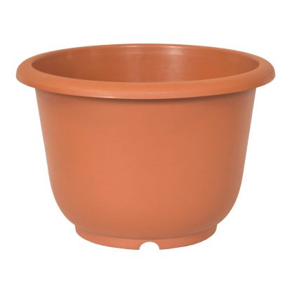 Terra Cotta