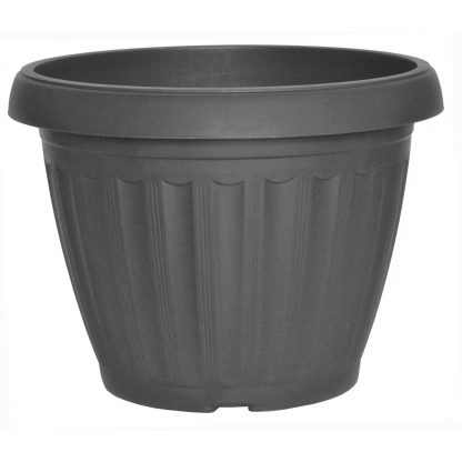 Pewter
