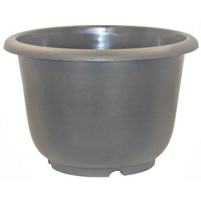Pewter